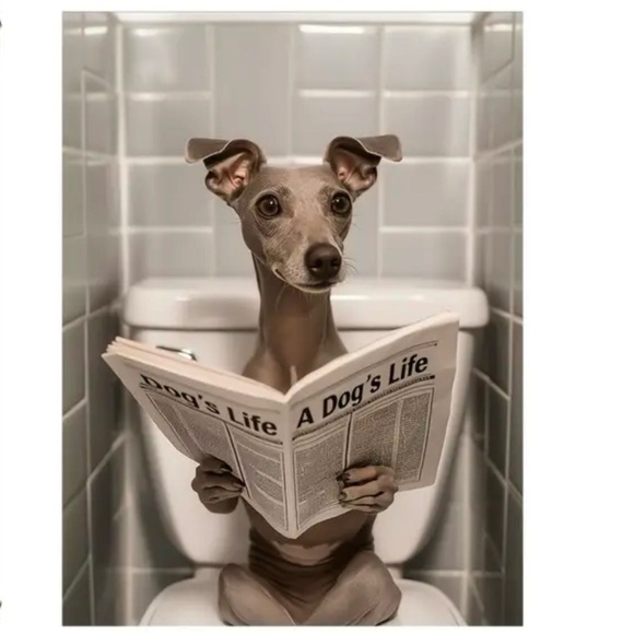 NWT Gray Whippet Greyhound IG Dog on Toilet Canvas Print 12x16 - Picture 1 of 5